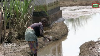 Fait du jour/Inondations à Gatumba: des conditions d'hygiènes déplorables