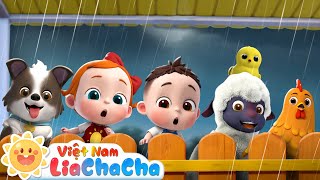 🐥 LiaChaCha và những bạn nhỏ đi trú mưa | LiaChaCha - Ca Nhạc Thiếu Nhi Việt Nam