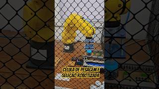 Célula de pesagem com Robô Fanuc #automacao #engenharia #educação #ensino #robô #industria #fanuc