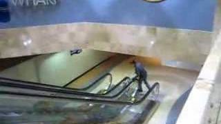 escalator slide