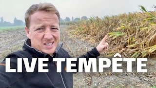 LIVE TEMPÊTE