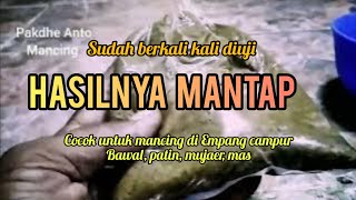 Cara membuat umpan ikan bawal,patin, mujaer,mas || TUTORIAL