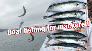 Boat Fishing for Mackerel