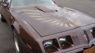 Mischief with the 1979 Heritage Brown T-top Trans Am