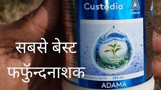 # ADAMA custodia fungiside no.1# अदामा कस्टूडियो फंगीसाइड@aajkakisan