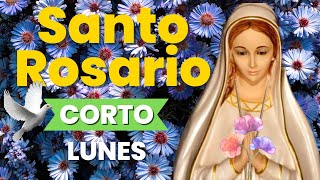 Santo Rosario CORTO, misterios Gozosos Lunes 3 de Junio del 2024 🙏🏼