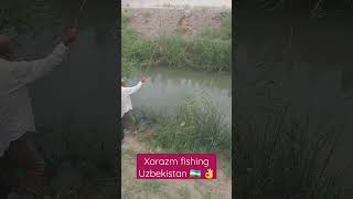 Xorazm fishing Uzbekistan 🇺🇿 #short