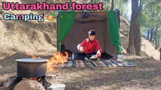 uttarakhand forest camping || camping & cooking in forest || camping in forest || sbiniyal vlogs