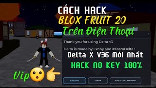 Cách MOD Blox Fruits 20 Trên Điện Thoại, Farm Terror Shark, Auto Leviathan, Treo Đảo, Up Tộc V4 !!!