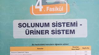 Testokulu AYT Biyoloji konu anlatım föyü-Boşaltım sistemi-2