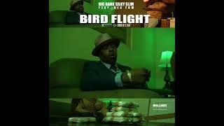 Big Bank Silky Slim - Bird Flight 🕊️ 🛫 Feat. Bea Ton (SHOTS BY BILLIONSHOTLT) REAL DALLASTYPESHIT🔥⛽🌊