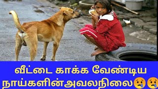 நன்றி மறவா பிராணியின் சோக வரலாறு 😢😢