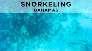 Snorkeling in the Bahamas