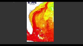 Southeastern U.S. Ocean Conditions Update - 07/03/2023