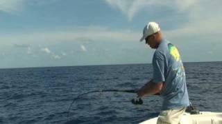 Vertical Jigging for Blackfin Tuna