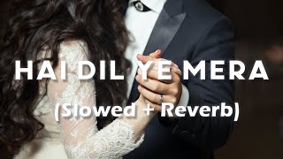 Hai Dil Ye Mera - Lofi (Slowed + Reverb) | Arijit Singh | Hate Story 2