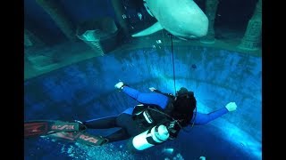 Dive4Life Siegburg  2017  Indoor Diving Tauchturm Scuba Tauchen DIVE FOR LIFE