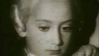 Mozart: A Childhood Chronicle