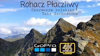 Rohacz Płaczliwy gopro 4k