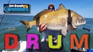 Black Drum Fishing Eastern Shore of Virginia Jim Baugh Outdoors TV 2019