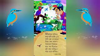 মাছরাঙা পাখিরে বাংলা কবিতা