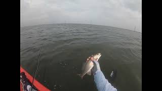 Top Water Trout in Corpus Christi