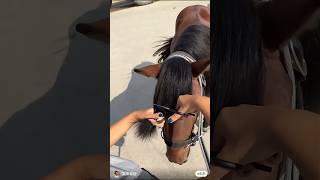 Horse like it #funny #horse # #hairstyle #easyhairstyle #hair