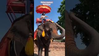 Riding Elephant at Ayutthaya