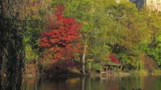 A Glimpse of New York - Autumn