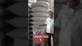 Lemur Feed KSPT Lemur A PK 14 %