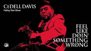 Cedell Davis - Falling Rain Blues (Official Audio)