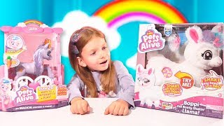 ТАНЦУЮЩАЯ ЛАМА и ГОВОРЯЩИЙ ЕДИНОРОГ | ZURU PETS ALIVE Shakin Llama and Magical Unicorn