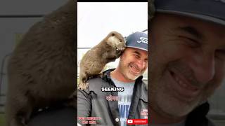 Man Saves otter #techmaster #gadgets #smartbottle #experiment #water #amazingfacts