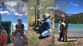 Highlights From Our Montana Trip!