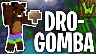 Wynncraft #5 - Drogos Gombák