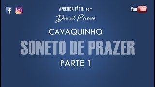 SONETO DE PRAZER REINALDO 20 ANOS PARTE 1  CAVACO