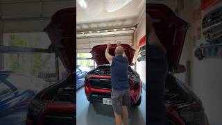 I have to jump to close the new Tacoma hood!  New Struts!