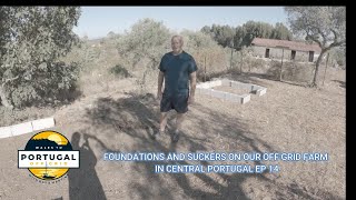 FOUNDATIONS AND SUCKERS ON OUR OFF GRID FARM IN CENTRAL PORTUGAL EP 14