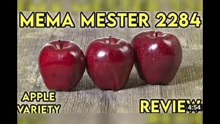 mema master apple variety  Elevation 7000ft