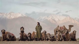 | MONEY SHOT | 🐫Camels in Sand Dunes | ep.18 | NORTH INDIA | HUNDER