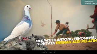 KISAH PERJALANAN MERPATI RAMPOK PELATIHAN DAN PERAWATAN | CHOCOLATE TEAM PART II