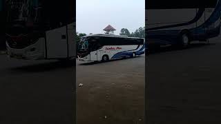 BUS SUMBER ALAM #sumberalam #shorts