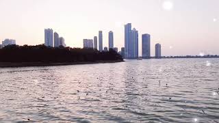 Best mind therapy || relaxing music || natural view || Al Noor Island - Sharjah - UAE