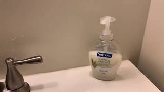 Softsoap Hand Soap Walmart