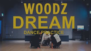 [MIRRORED] WOODZ - DREAM Dance Practice