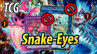 The banlist did... NOTHING? (Snake-Eyes TCG SEPT 2024)