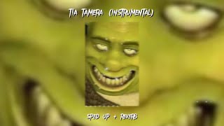 Doja Cat - Tia Tamera (Instrumental) ft. Rico Nasty (Sped Up + Reverb) SnF (Sapnap and George)