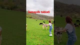 İsmayıllıda təbiət qoynunda istirahət