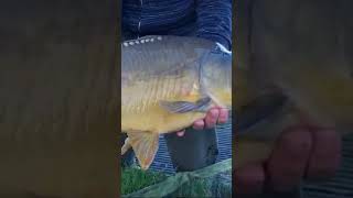 #cool #fishing #carpfishing #subscribe #carp #fish !!