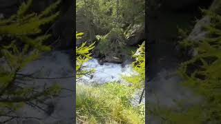 SERENITY IN THE FOREST #nature #hikingtrails #scenicviews  #naturephotography #mountains  #alps